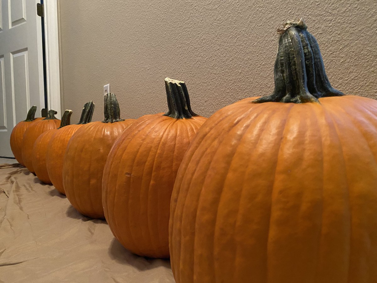 @omfgitsvico.bsky.social 🧢 tweet media