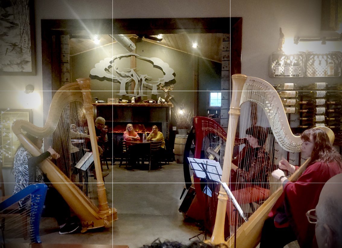 harprealm's tweet image. Loved being in Minnesota teaching the International Harp Therapy Program, wonderful venue at the St. John’s Community and a fun night out at the Three Oaks Winery Concert!