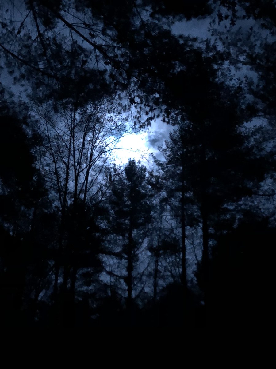 TealSeptember's tweet photo. Last night’s #HuntersMoon . #NorthCarolina #Mountains #moon #moons #huntermoon #fallmoon #autumnmoon #moonenergy #FullMoon #moonvibes #Nightsky #fall #Autumn #nightskies #moonlight #moonshiningbright #sky #skies #OutdoorAdventures #WalkingInTheMoonLight #nighttimewalk https://t.co/YTHmWUmiJu