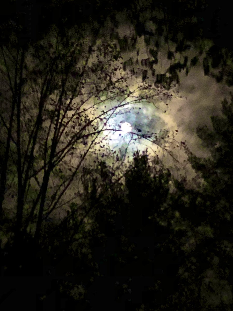 TealSeptember's tweet photo. Last night’s #HuntersMoon . #NorthCarolina #Mountains #moon #moons #huntermoon #fallmoon #autumnmoon #moonenergy #FullMoon #moonvibes #Nightsky #fall #Autumn #nightskies #moonlight #moonshiningbright #sky #skies #OutdoorAdventures #WalkingInTheMoonLight #nighttimewalk https://t.co/YTHmWUmiJu