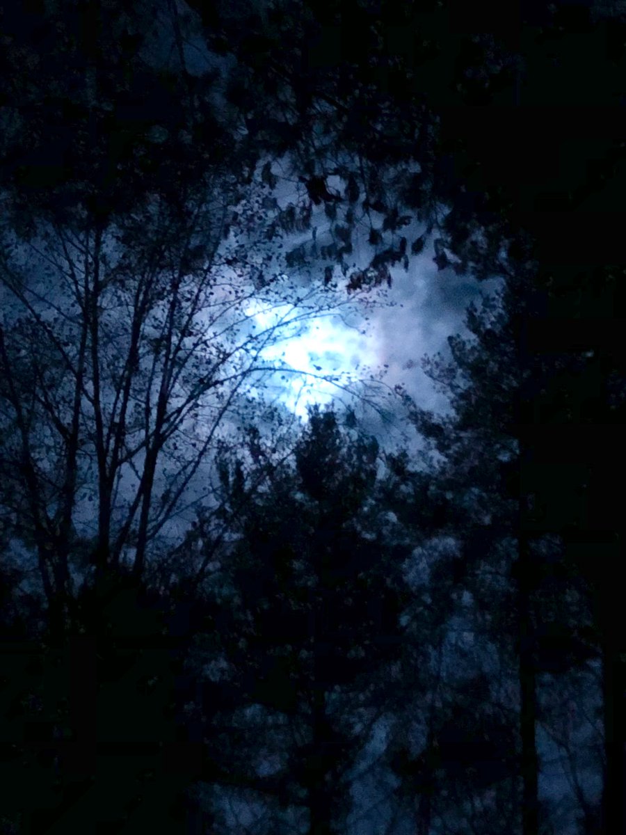 TealSeptember's tweet photo. Last night’s #HuntersMoon . #NorthCarolina #Mountains #moon #moons #huntermoon #fallmoon #autumnmoon #moonenergy #FullMoon #moonvibes #Nightsky #fall #Autumn #nightskies #moonlight #moonshiningbright #sky #skies #OutdoorAdventures #WalkingInTheMoonLight #nighttimewalk https://t.co/YTHmWUmiJu