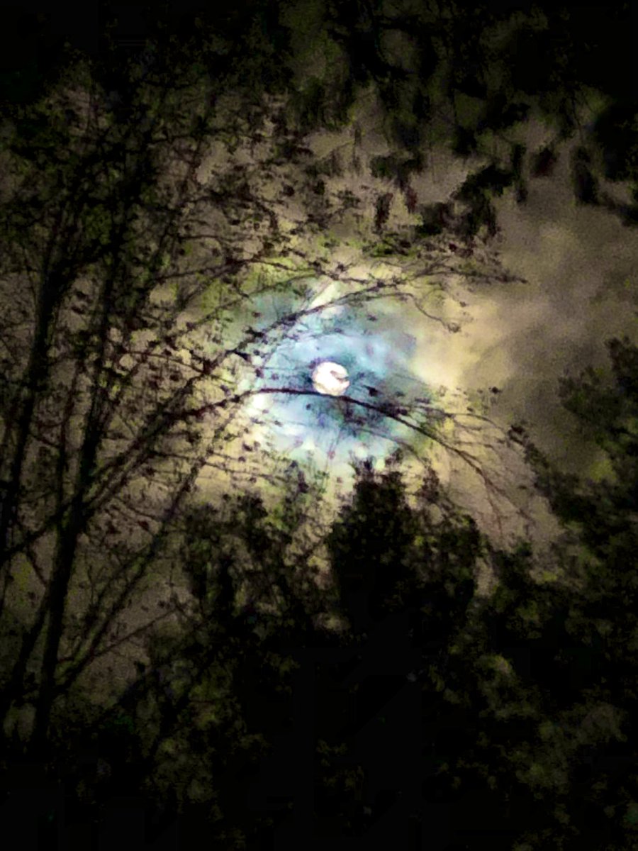 TealSeptember's tweet photo. Last night’s #HuntersMoon . #NorthCarolina #Mountains #moon #moons #huntermoon #fallmoon #autumnmoon #moonenergy #FullMoon #moonvibes #Nightsky #fall #Autumn #nightskies #moonlight #moonshiningbright #sky #skies #OutdoorAdventures #WalkingInTheMoonLight #nighttimewalk https://t.co/YTHmWUmiJu