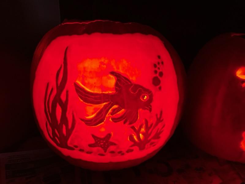 IAM8ull's tweet image. 2023 Pumpkins 1 of 2