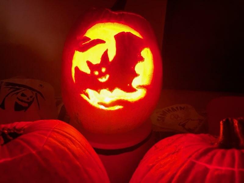 IAM8ull's tweet image. 2023 Pumpkins 1 of 2