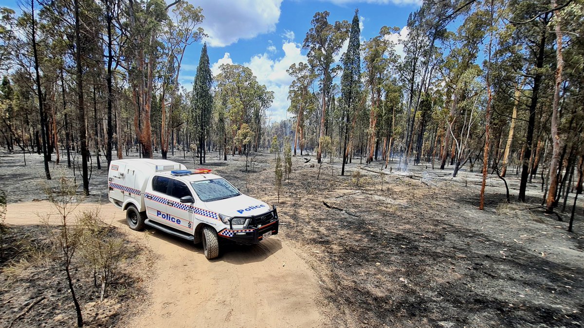 Sunshine Coast detectives have commenced investigations into a fire at Beerwah on Sunday, October 29, which appears to have been deliberately lit. mypolice.page.link/qVze