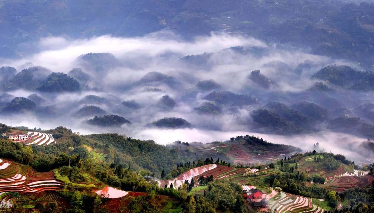 LiveinGuizhou's tweet photo. [#Chishui City's #WangyunPeak] Chishui City's Wangyun Peak stands atop #Dongba peak, which is over 700 m above sea level. After the rain, mist would rise from the valley below.

📷 by https://t.co/GvPLOUJGNC

#Guizhou #China #Scenery https://t.co/XE4zPqcJ3y