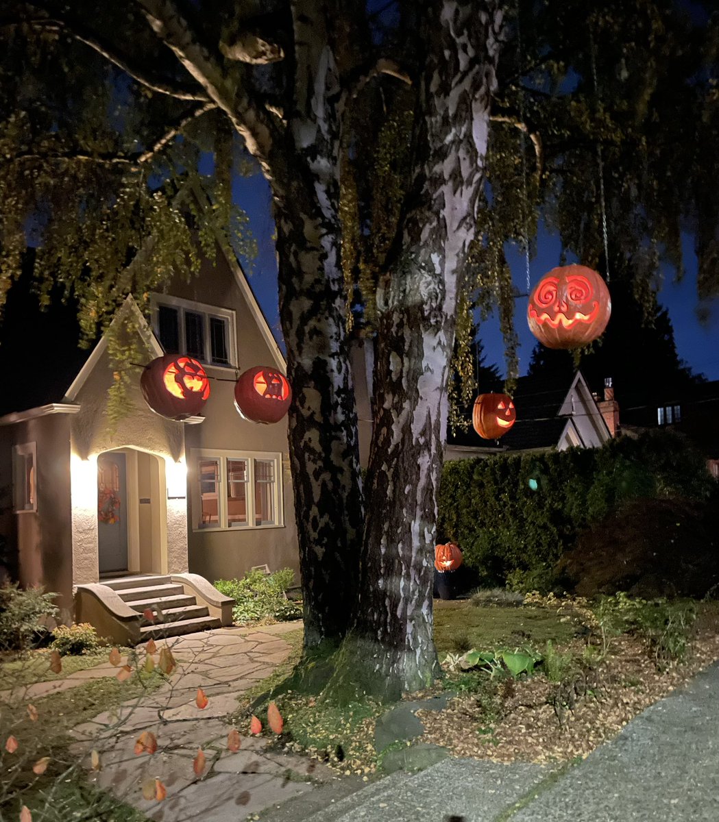 owlsrcute's tweet image. This house in my hood is one of my favorite things about my hood for like a decade now.
Love their gigantic jack o lanterns hanging from their gigantic tree.
#bryant #Seattle #halloween