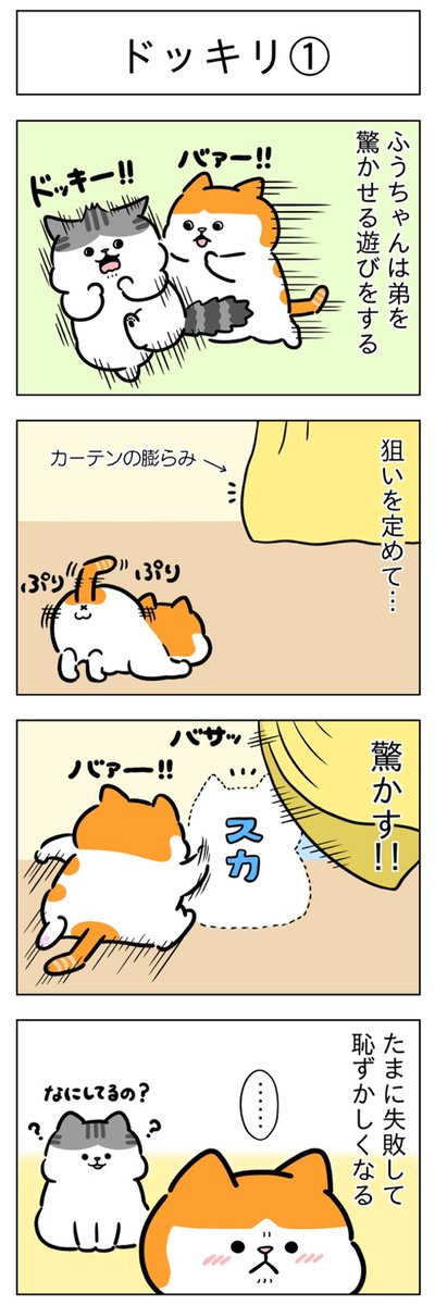 ドッキリ①②│フェリシモ猫部 