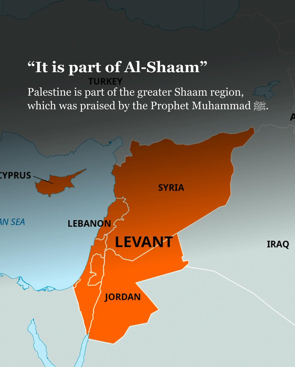 Everything You Need To Know About Palestine 🇵🇸 ☆》Must Know..🤍🕌 - Thread