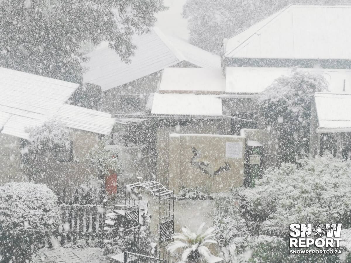 SnowReportSA's tweet photo. Snow falls in Van Reenen on the N3 between Durban and Joburg - https://t.co/qs5oMScTA4 #snow #gautengsnow #weather #africansnow https://t.co/uf7KHjImXa