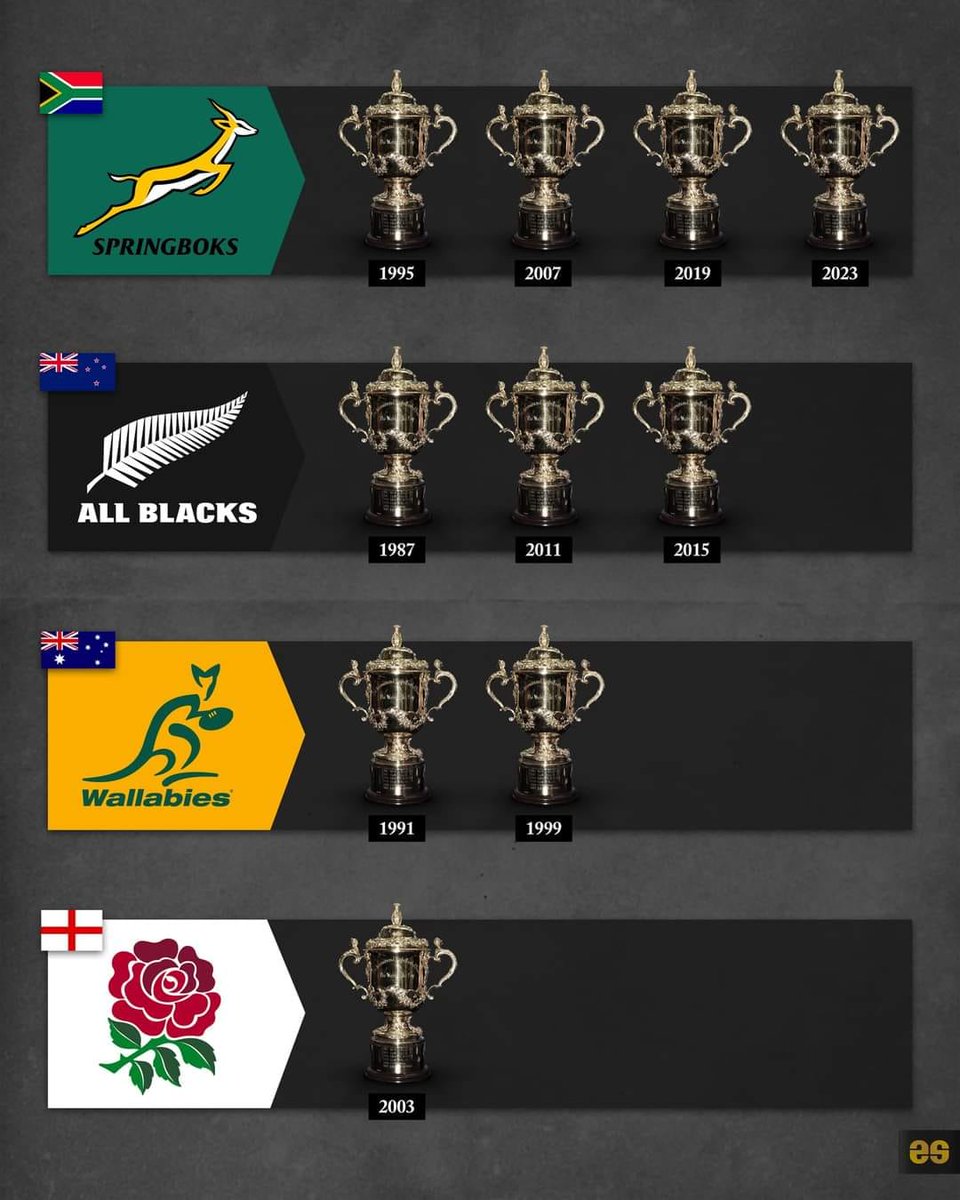 _ArriveAlive's tweet photo. Pic for the Day #ProudlySA #RWCFinal #SpringboksRWC https://t.co/NPRDcl2SVZ