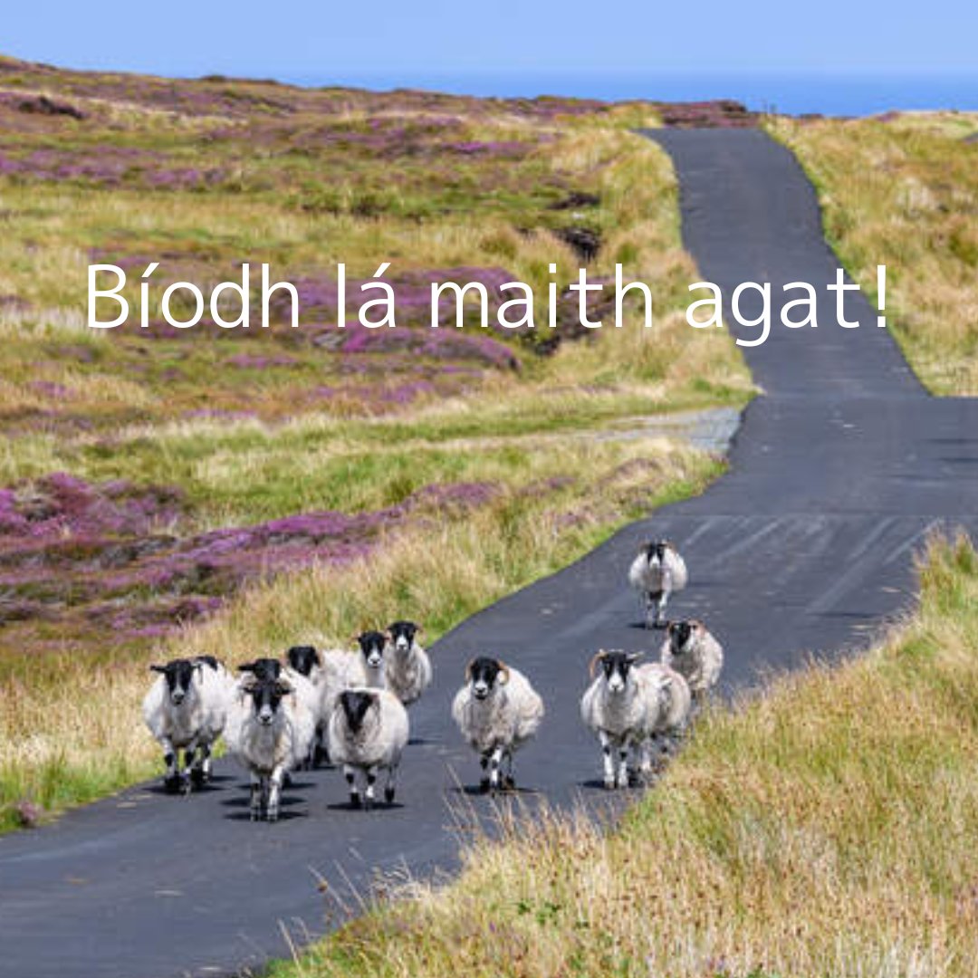 【#アイルランド語講座】 アイルランド語で「良い1日を (お過ごしください) 」は、Bíodh lá maith agat (ビオ・ロー・マハ・アガット) 🗣️ 本アカウントでもたびたび登場している maith は、アイルランド語で「良い」という意味です。少し長いフレーズですが、ぜひ使ってみてくださいね☘