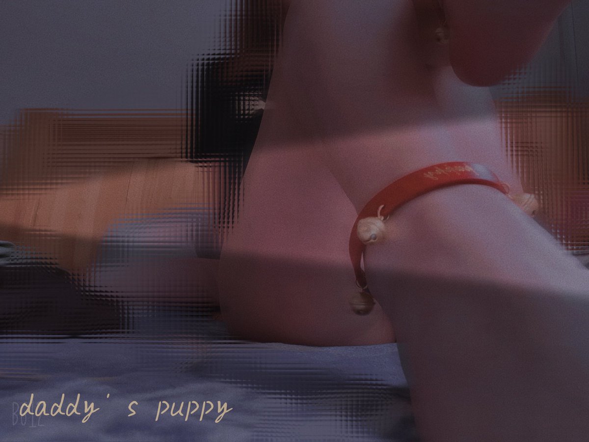 MMBACYY's tweet photo. daddy’s puppy
脚环@Lin_frost0 家的胭脂迷迭 https://t.co/oKlpoWdCQm