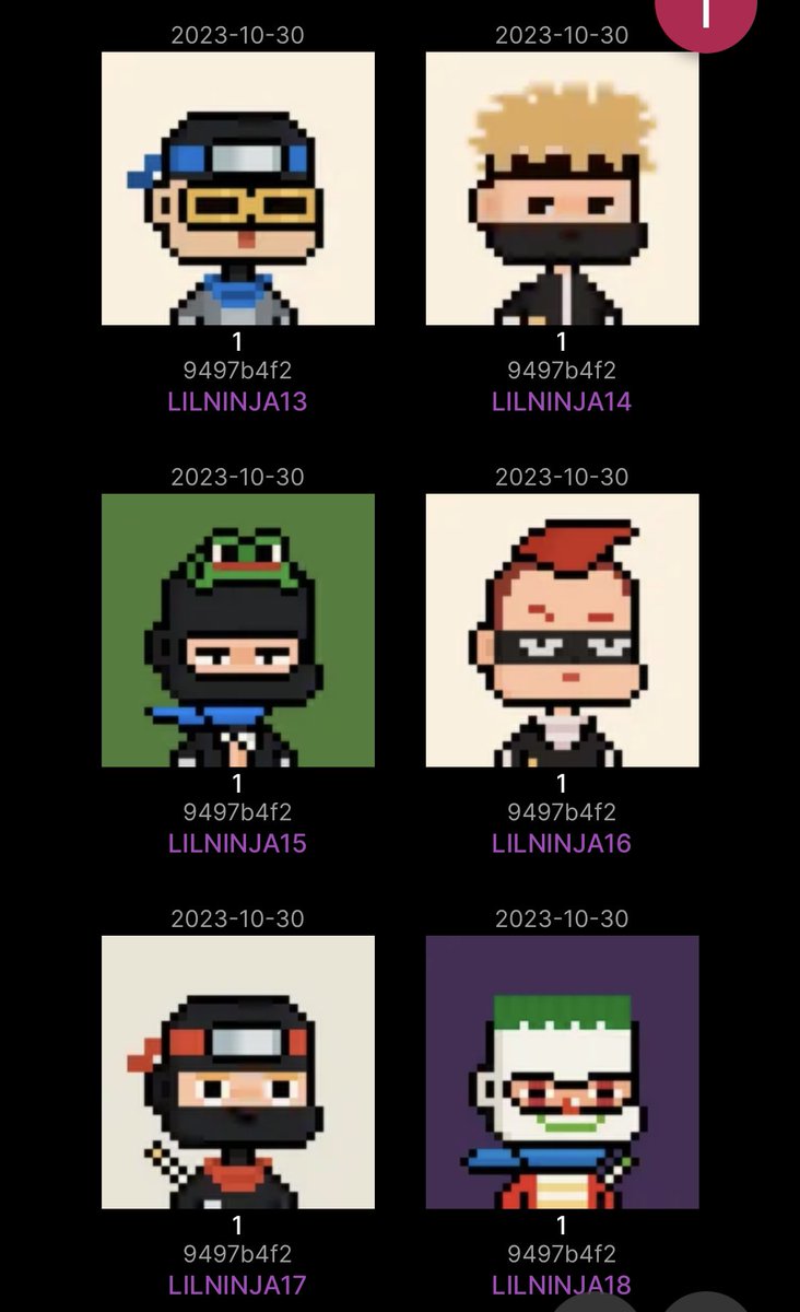 Epoch Pickleball tweet media