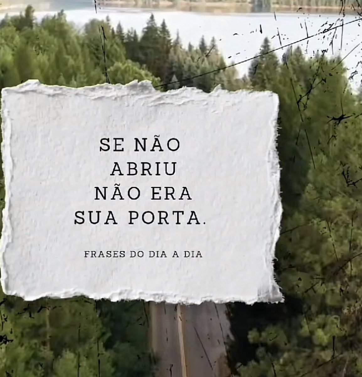 edupletsch's tweet image. 