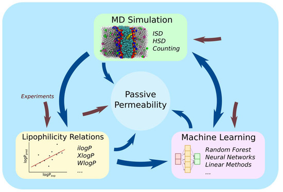 🌞 New Review Article🌞
Advances in #Computational Approaches for Estimating #PassivePermeability in #DrugDiscovery.
Includes #lipophilicity, #molecularsimulations and #machine learning studies.
For details👉 mdpi.com/2533834
by Timothy S. Carpenter @Livermore_Lab et al.