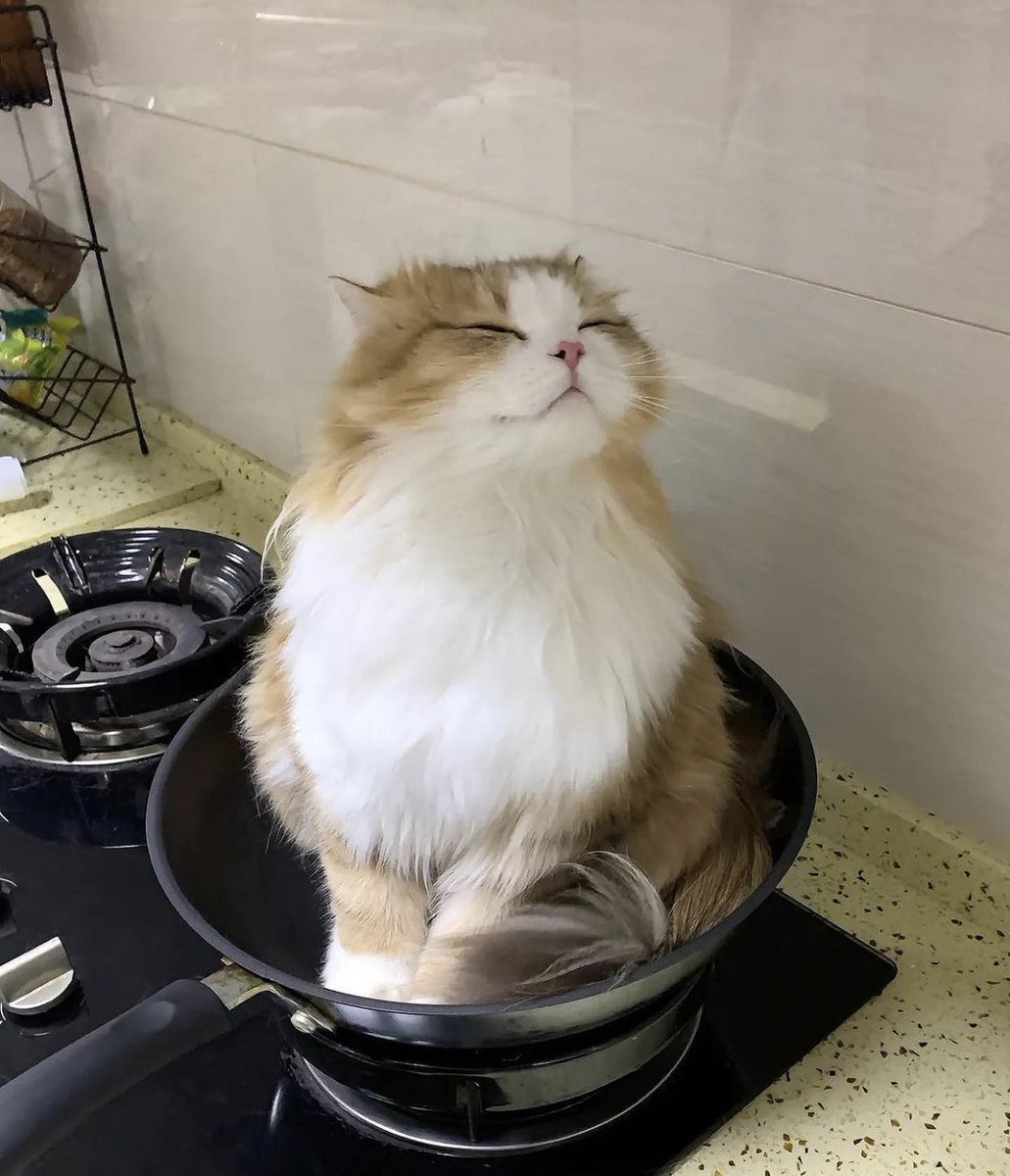 อยากกินตับเด็ก