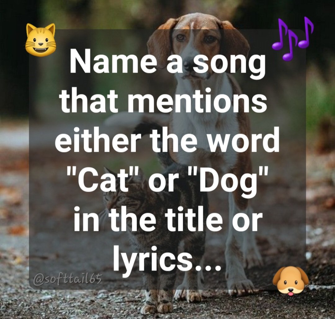 Monica 💙🌻🏳️‍🌈 tweet media