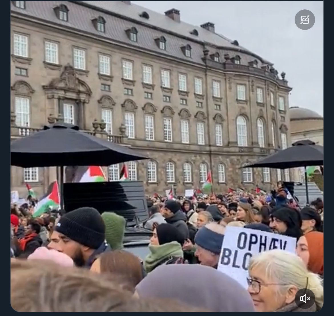 Danskerne kender ikke nok til Israel-Palæstina konflikten. 

Det gør, at danskere, der er bekymret for feks børn i Gaza bliver gidsler i konflikten. Det skete til den seneste demonstration. 

Råbet “From the River to the Sea”, der er blevet råbt ved demonstrationer over hele