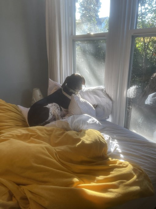 Pleased to announce that the Squeeg has acclimated to her new environment and is thriving. The raccoons