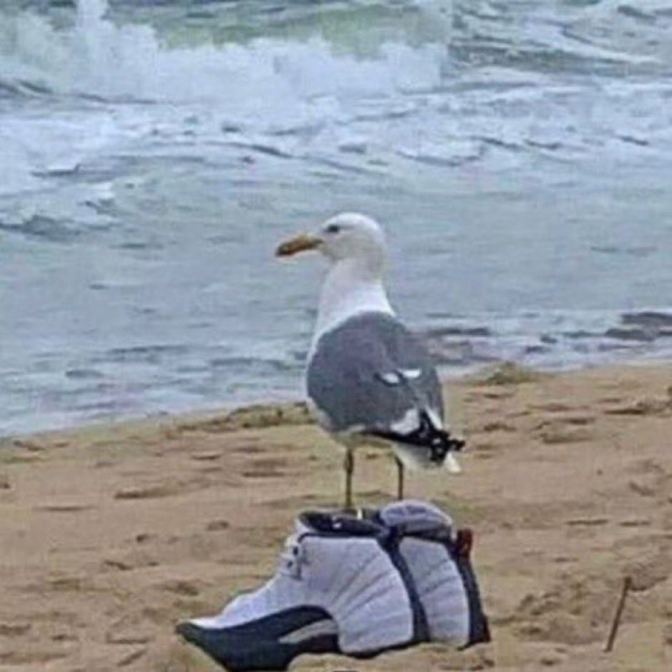 sickboobies's tweet photo. left my lighter in my jean pocket again in the washer https://t.co/uLr2QELku0