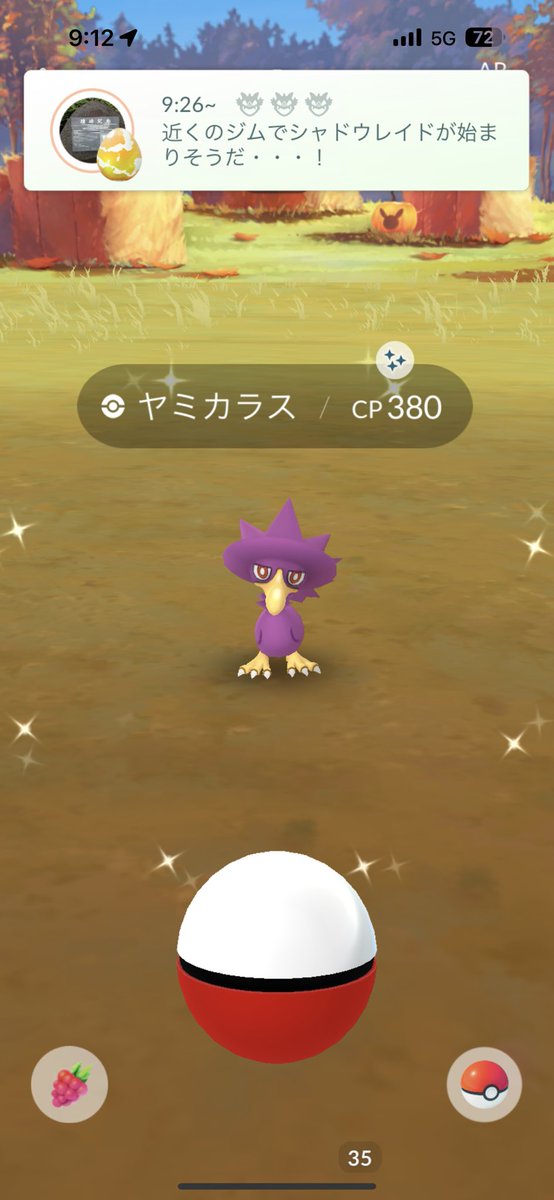 0814_yn's tweet photo. 今日の朝連続色違い続いて嬉しい〜
そんな顔で見られて可愛すぎ💜

#ポケモンGO #色違い https://t.co/b6Qy03BKED