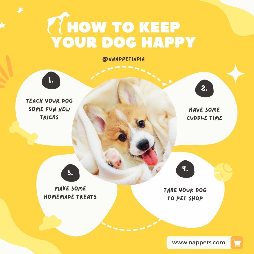 nappetindia's tweet photo. Dog Accessories
Pet Products
Online Pet Store
Pet Supplies
Shop Now
https://t.co/w5PzsVonw5
#dogbeds #dogcollar #dogharness #dogmuzzle #dogleash #doglovers #doglife #pets #dogstagram #petbed #doglover #puppy #cats #petsofinstagram #dogaccessories #petsupplies https://t.co/KaThDUK0SX