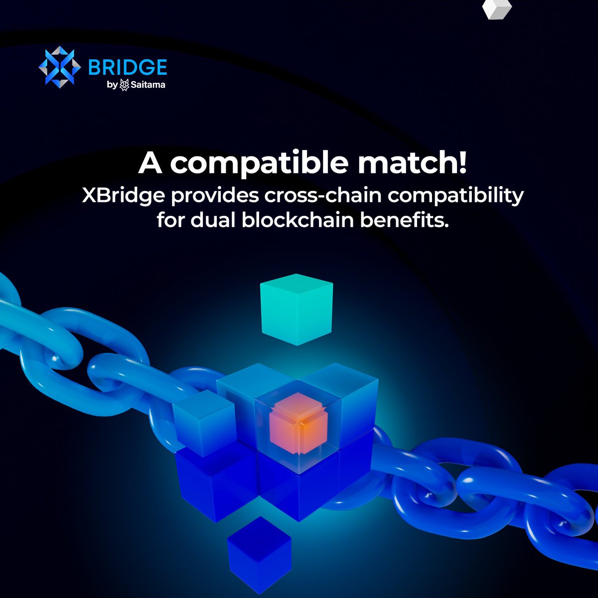 X Bridge tweet media