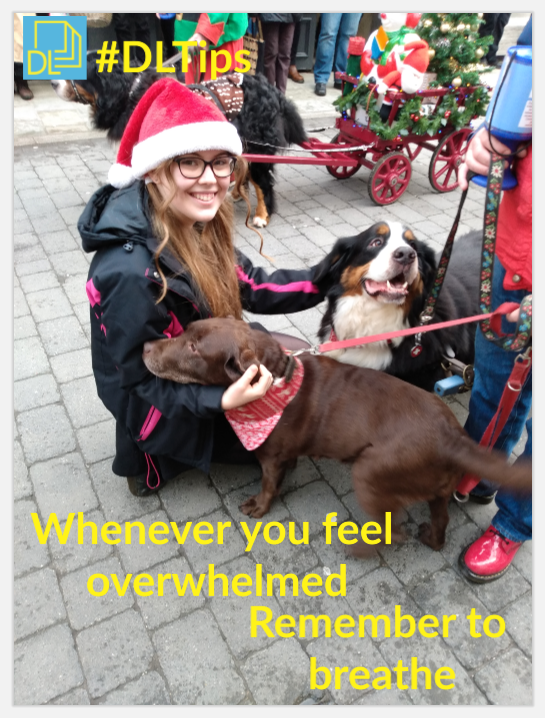 DiverseLearners's tweet photo. Tip of the Day
Whenever you feel overwhelmed
Remember to breathe
#DLTips https://t.co/ua8KR6U5Vr