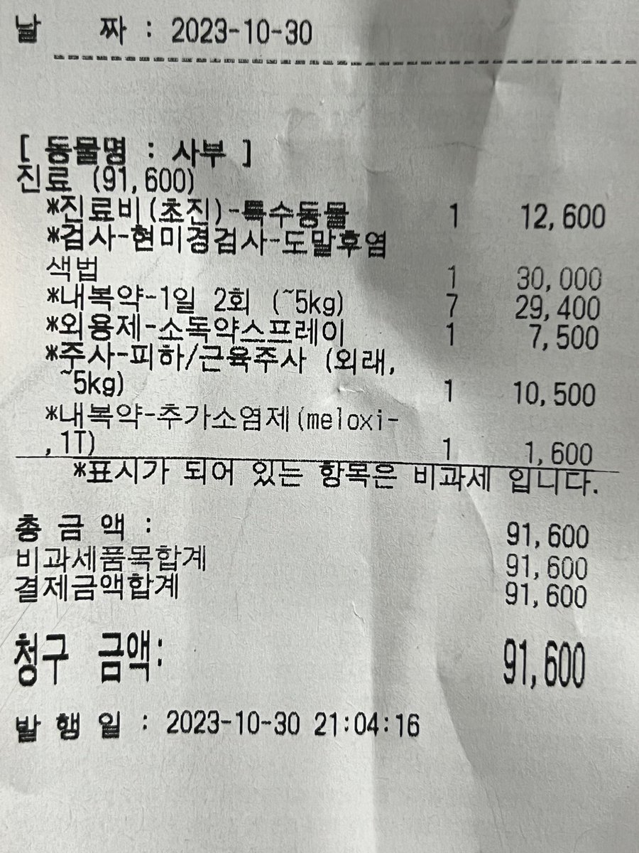 기록용 
사부 몸무게 41g