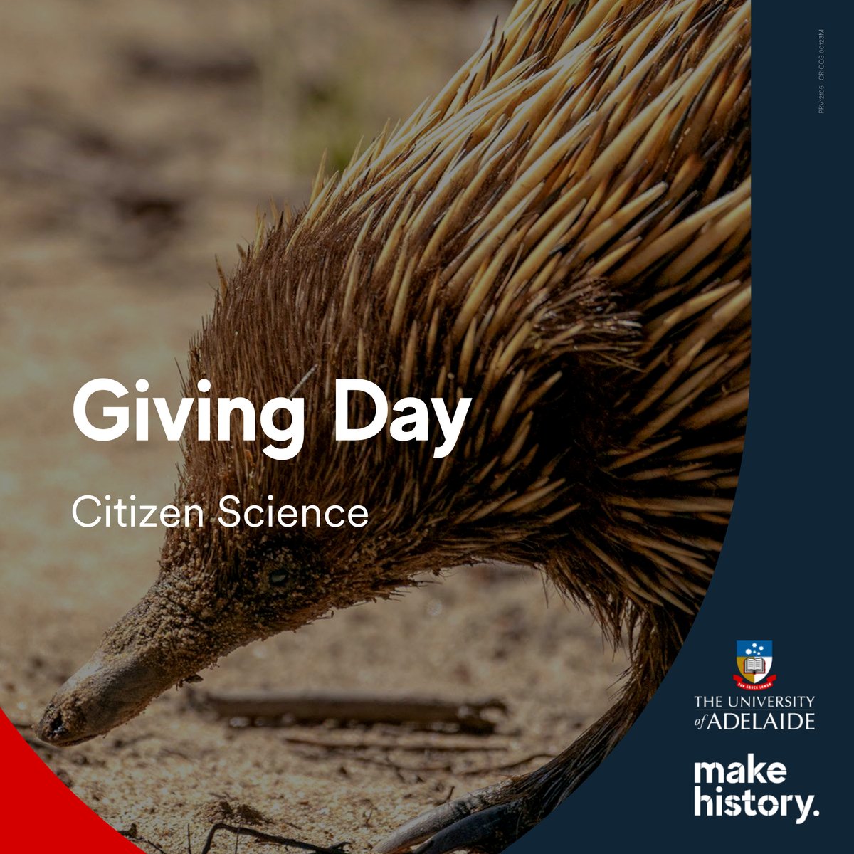🌏GIVING DAY: We are excited to be an ambassador for the @UniofAdelaide's Citizen Science Research Fund for the #UoAGivingDay on Tues 31 Oct. The fund will provide much-needed assistance to projects led by or supported by the Uni. Donate now! 🔗 givingday.adelaide.edu.au/camp.../citize…...