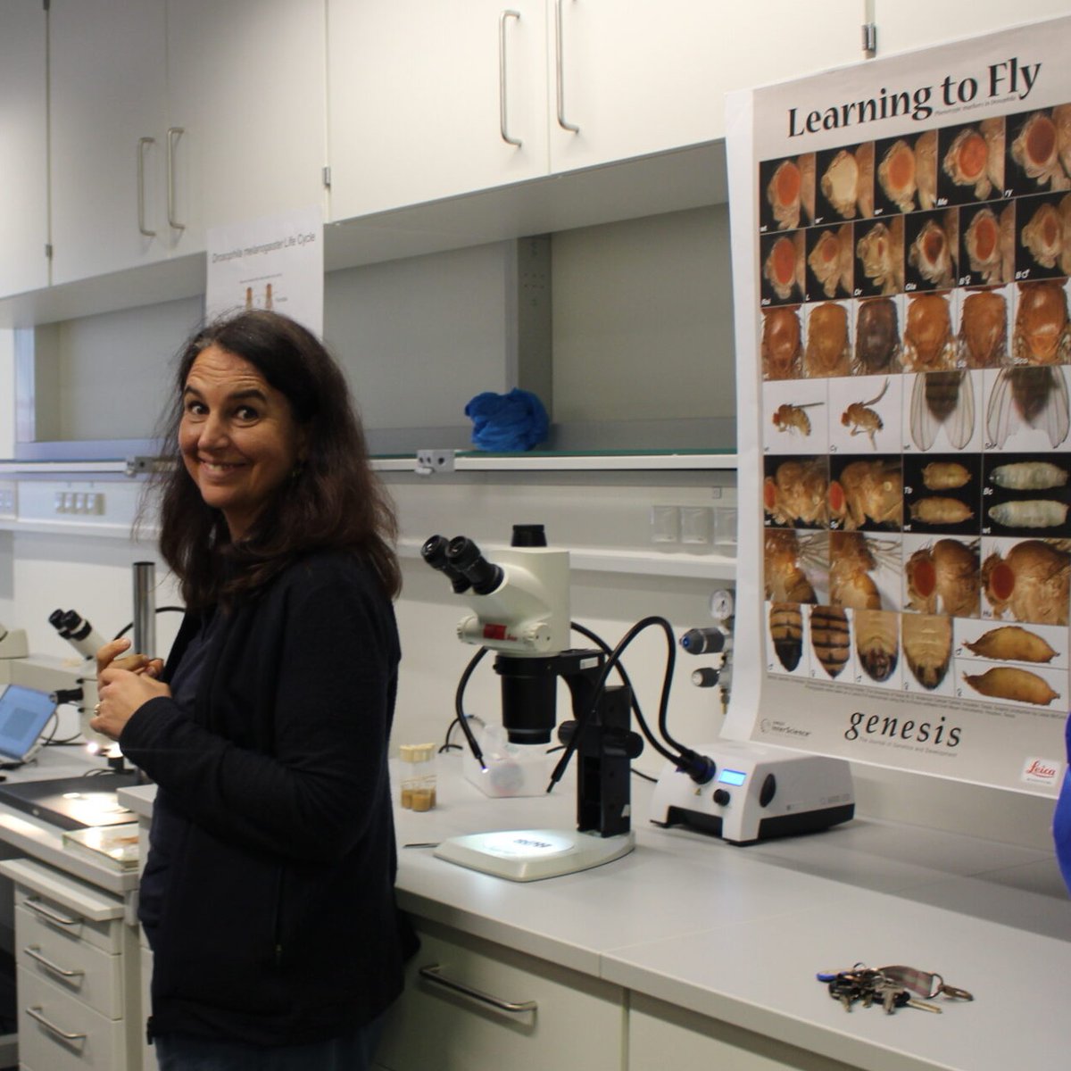 Tavosanis_Lab's tweet photo. It's been busy couple of weeks for the Tavosanis group. 

We started the semester by introducing our group in Aachen to new comming students. @RWTH @KaroDoubkova @goofy_cynic @Lukas_Tausend 

Now lectures are on and Gaia @GTavosanis  is in full teaching mode 💪. https://t.co/Al1qhfZ8QM