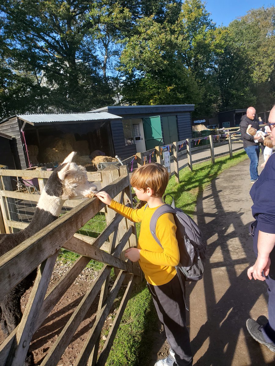 Giles House’s young people had a boo-tiful time at Wellington Country Park last week while Millington House went pumpkin-picking. Support Prior's Court this Halloween to transform the future for young people with complex autism: priorscourt.org.uk/Event/spooky-h…