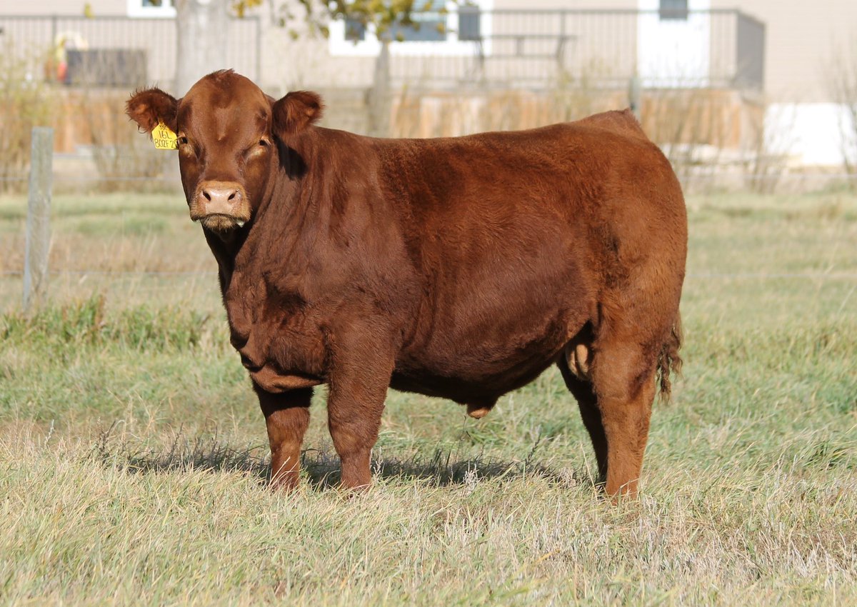 Eric Boon tweet media