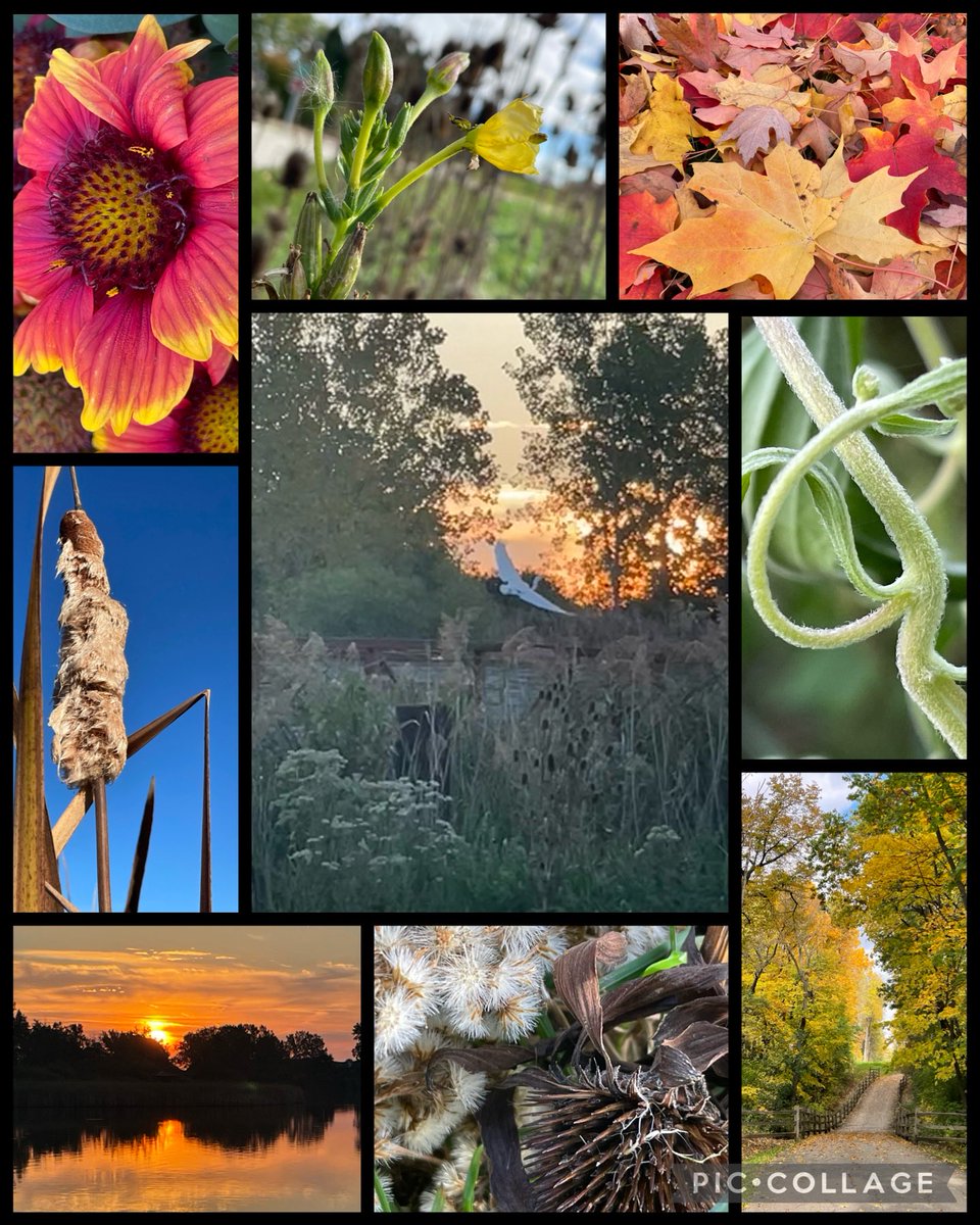 “It’s less about what the eyes see and more about what the souls feels.” 
~ Paulo Coelho
#mondaymotivation #mindfulmonday