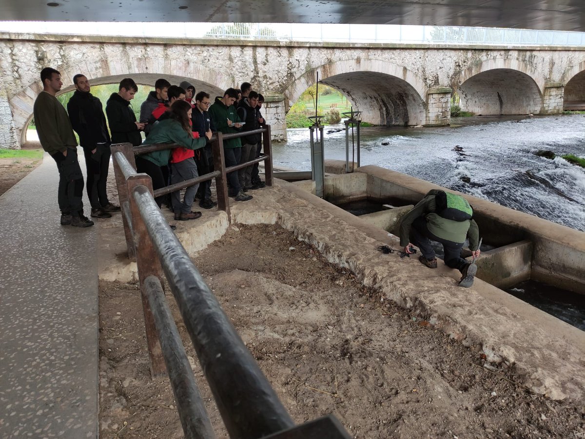 GEA Ecohidráulica tweet media