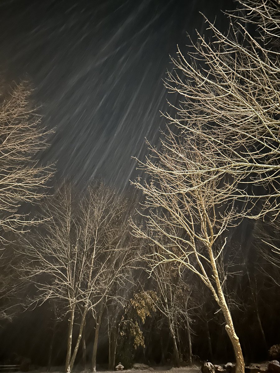 lifeinaloghome's tweet photo. Here we snow again!
#shareyourweather https://t.co/y32iw2yFCU