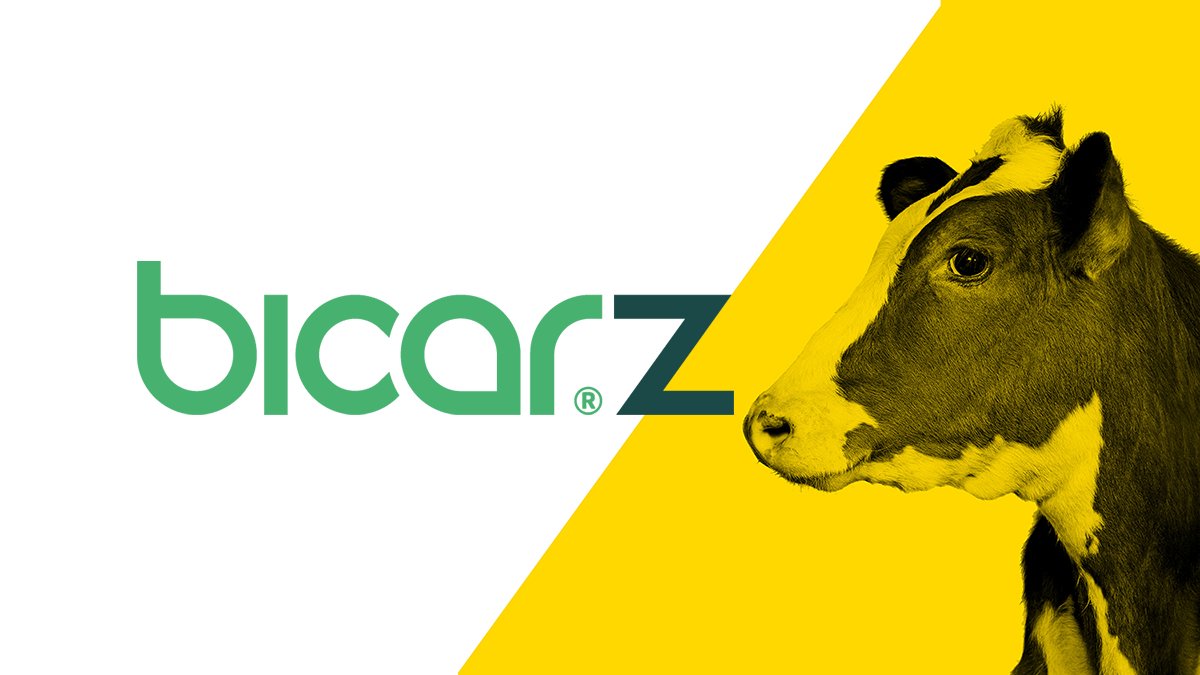 Could your milk production use a boost? Helping to maintain the health of your livestock using Bicar®Z as an effective buffer and source of pure sodium is both economical and effective. Assist ruminal acidosis & help increase milk production. Discover ▶️ bit.ly/3NwlCBO