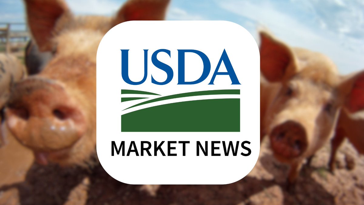 USDA_AMS's tweet image. Access our swine and pork Market News reports during #NationalPorkMonth using our API features! #AgData ams.usda.gov/LPGMN