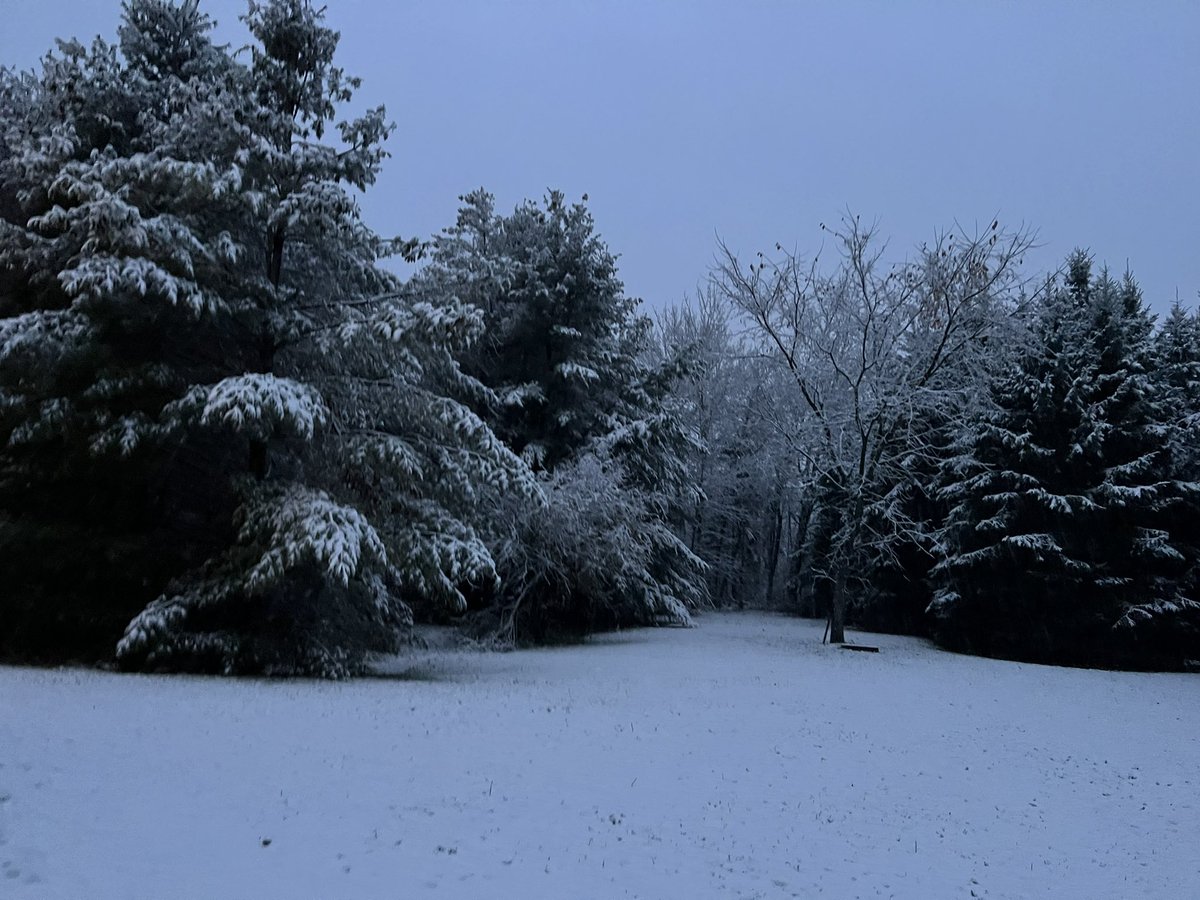 So, um. Is it just my yard that looks like this? #ottcity #ottawaweather
