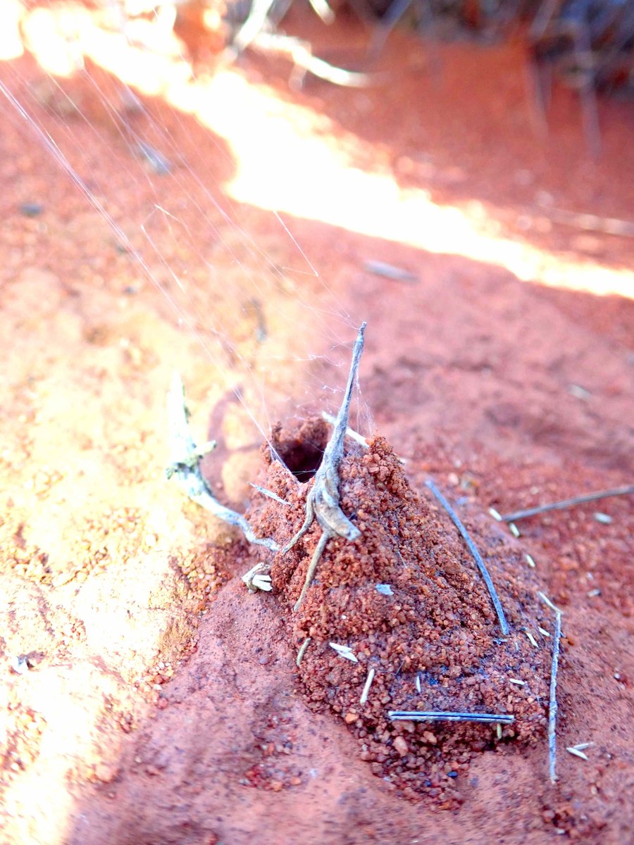 Jeremy Wilson tweet media