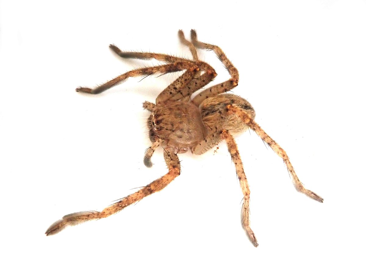 Jeremy Wilson tweet media