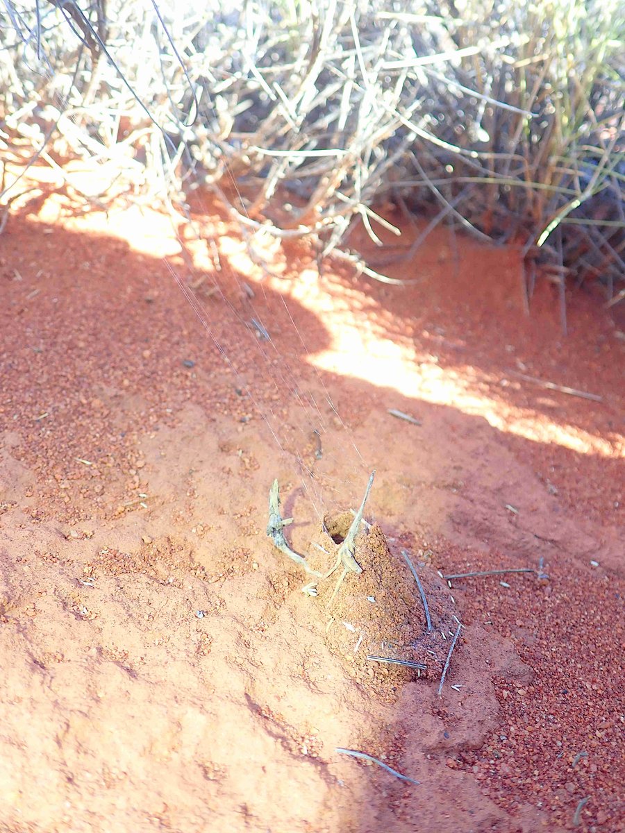 Jeremy Wilson tweet media