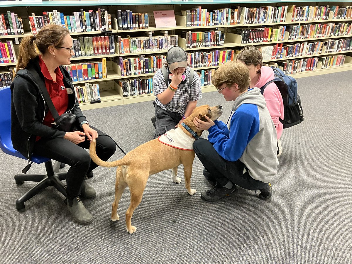 BealLibrary's tweet photo. @HBBeal Library was doggone crazy on Friday, hosting the @SJA_Canada Therapy Dogs! Thank you for visiting Beal. Our students and staff enjoyed meeting these five friendly dogs and their owners. @TVDSB https://t.co/SLBG1e2UAe