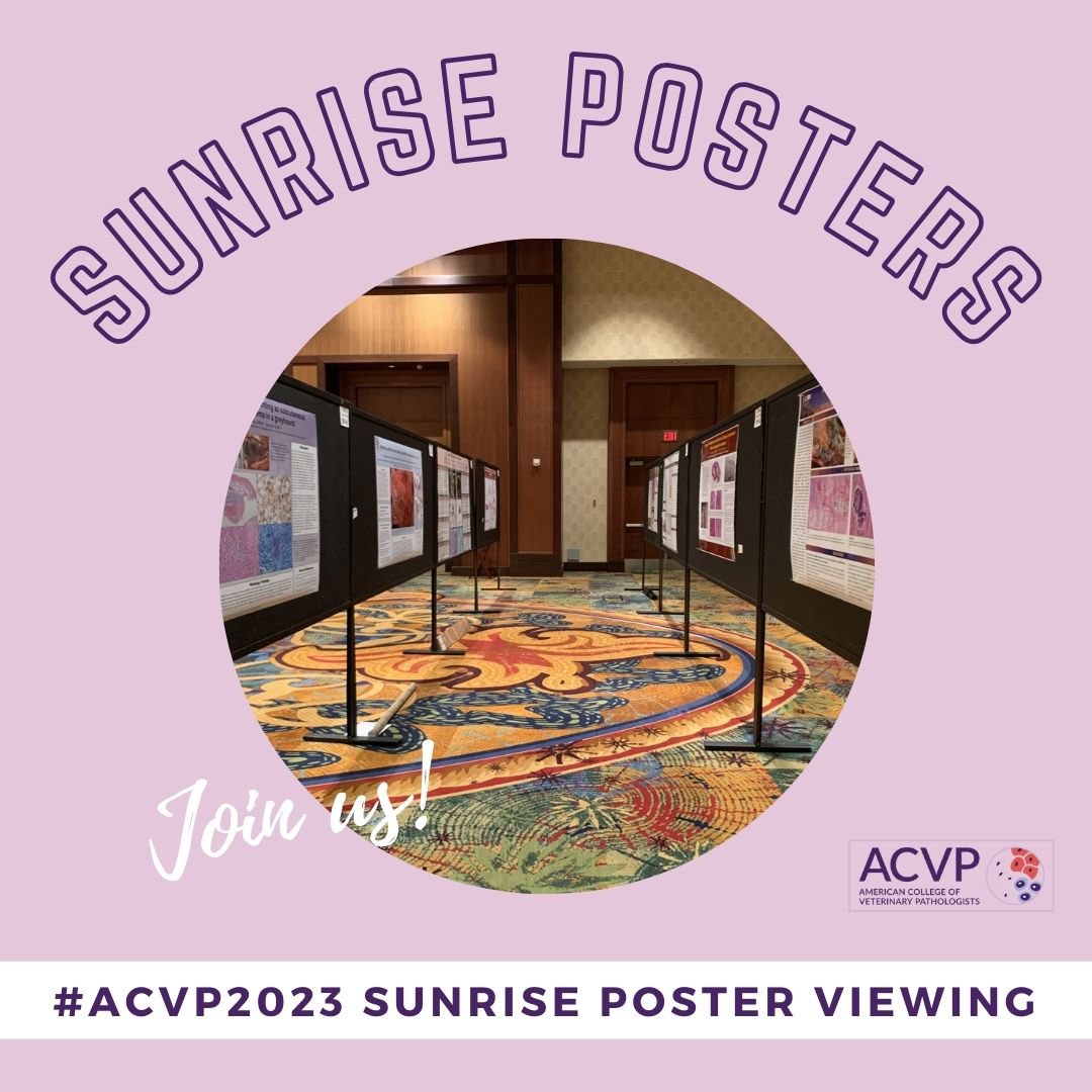 Good morning to all you early birds at #ACVP2023! Today's Sunrise Poster Viewing session is open from 7 to 8am (Salon III, Level 7).

Natural Disease
Experimental Disease 
Industrial and Toxicologic Pathology