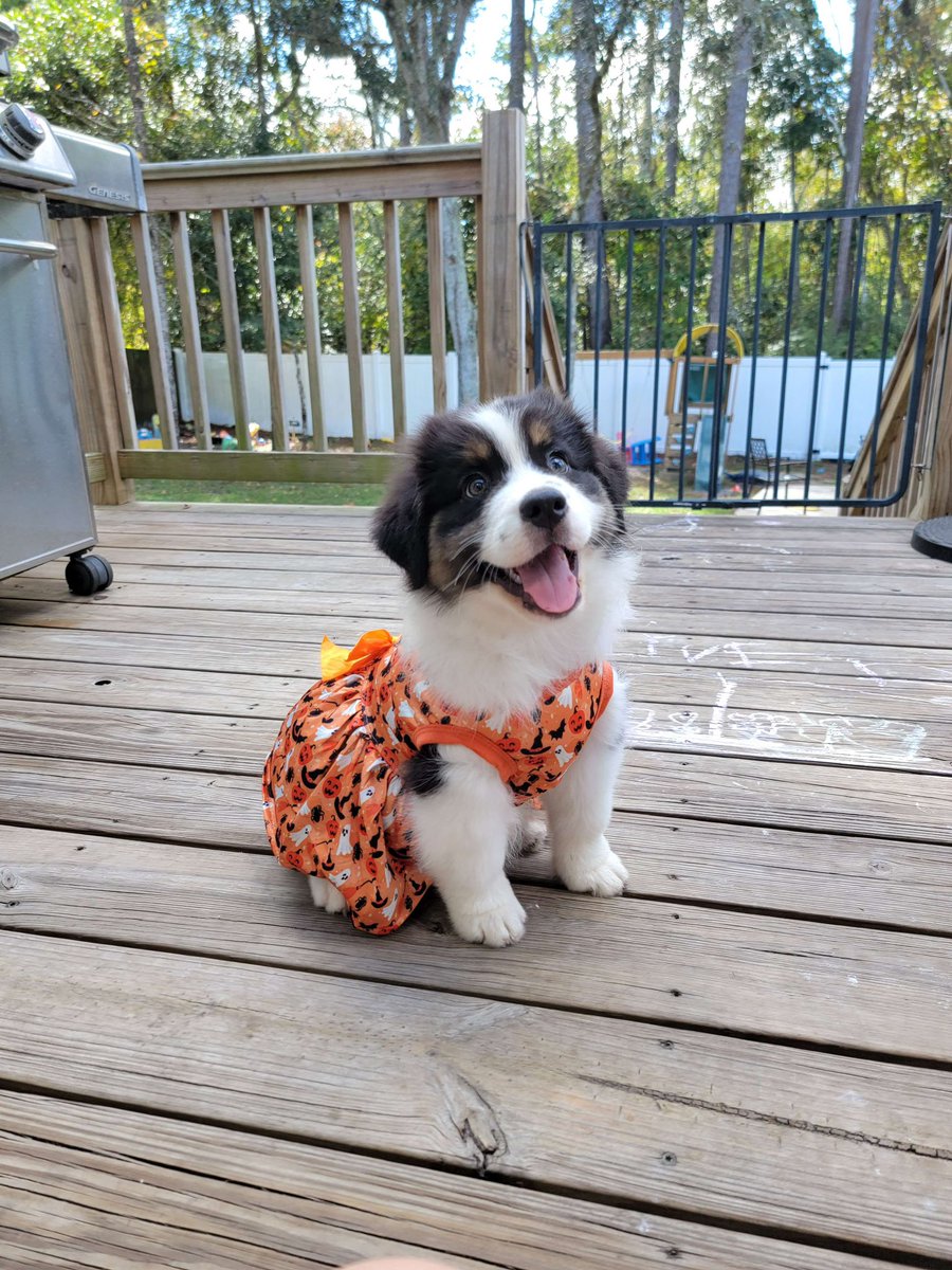 TJ Sanders tweet media