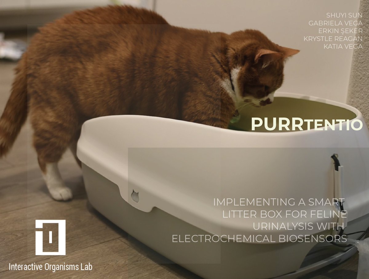 Katia Cánepa Vega (@kfcito) on Twitter photo Continuing with our series of electrochemical biosensors in HCI, this project introduces the use of electrochemical biosensors for animal fluid sensing.
Traditional feline urine monitoring methods are invasive, costly, and infrequent. #UIST2023 Continuing with our series of electrochemical biosensors in HCI, this project introduces the use of electrochemical biosensors for animal fluid sensing.
Traditional feline urine monitoring methods are invasive, costly, and infrequent. #UIST2023