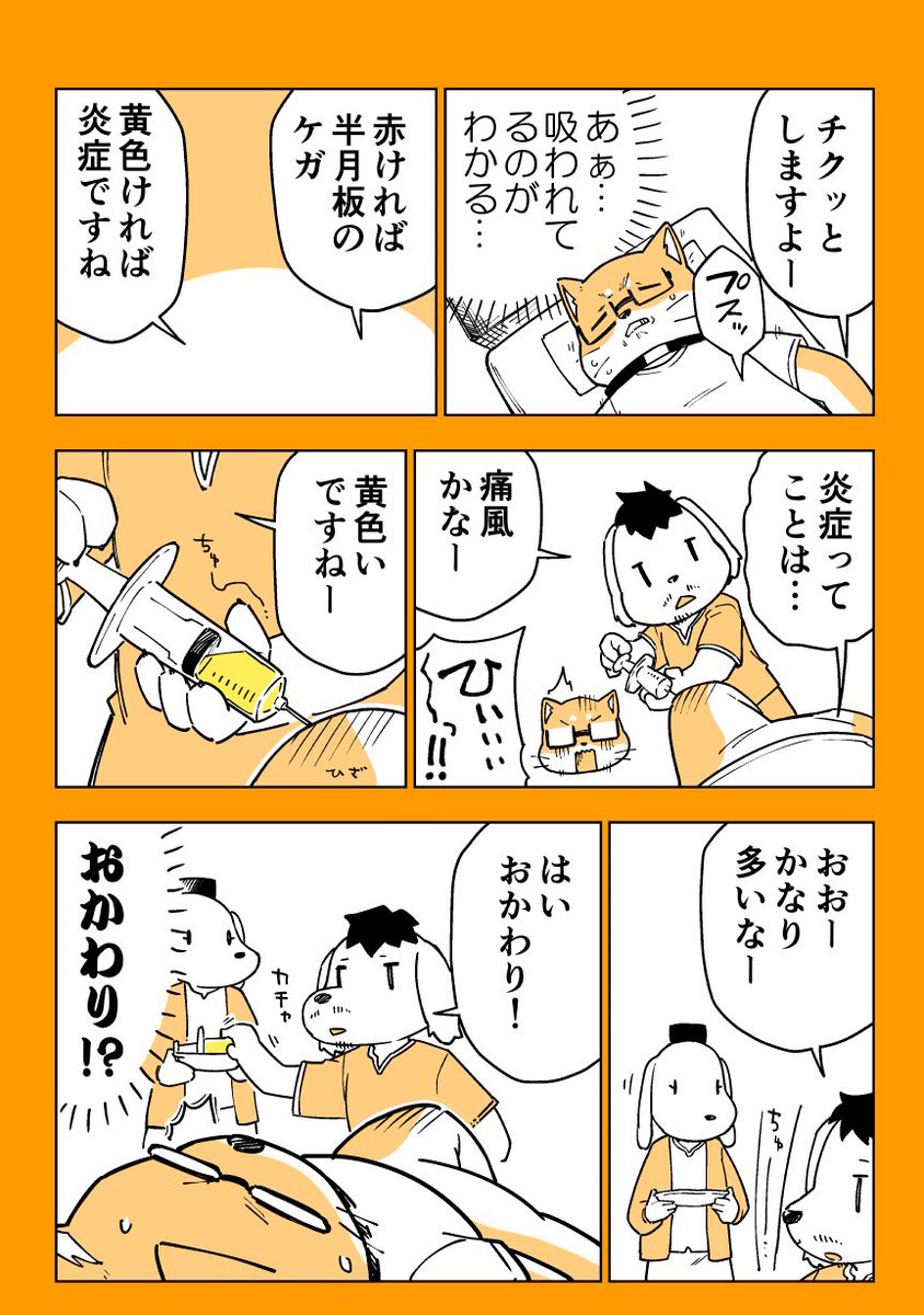 2/2