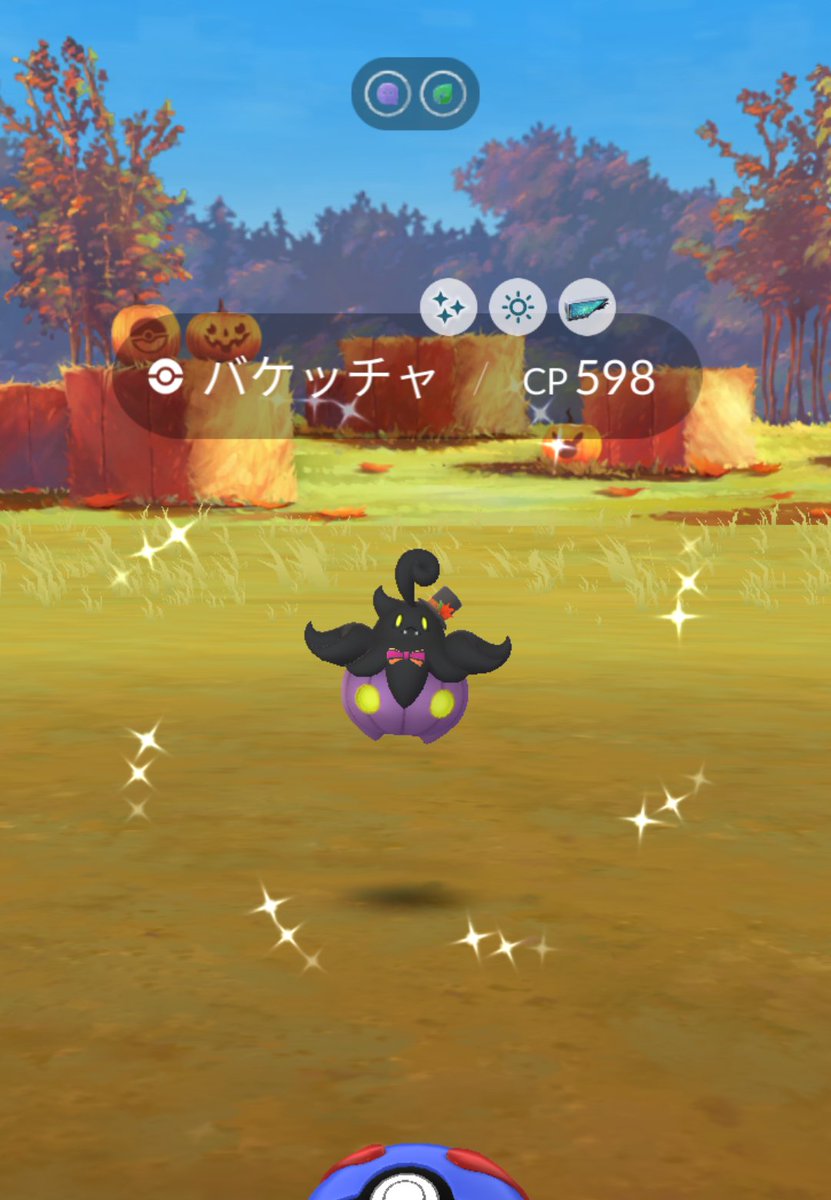 funyamaru_pon's tweet photo. やっとバケッチャの色違いGETできたー🎃✨＃ポケモンGO ＃色違い https://t.co/SOyTC5BIwy