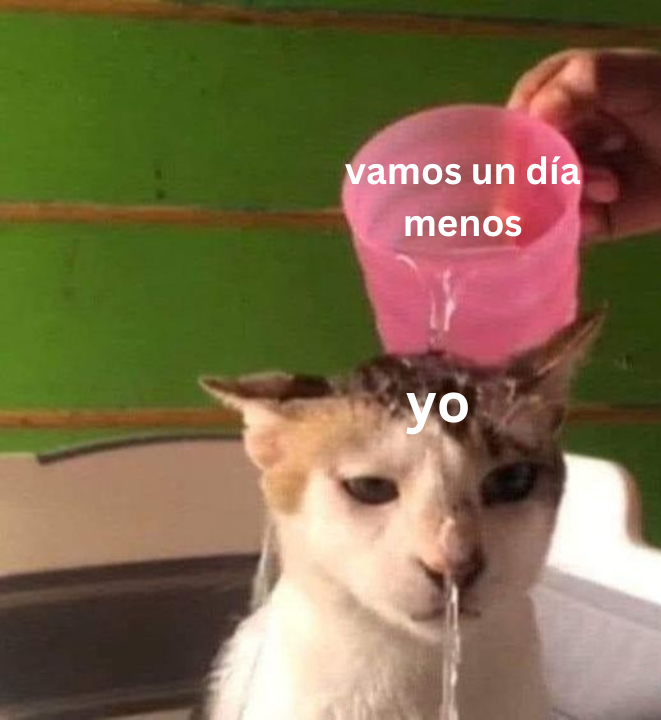 Wenos días, solo vengo a decir que hoy es lunes.